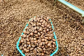 Giá cà phê đảo chiều tăng nhẹ, chạm ngưỡng 95.500 đồng/kg