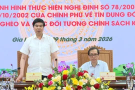 Phó Chủ tịch UBND tỉnh Lâm Hải Giang làm việc với đoàn công tác Trung ương về tín dụng chính sách