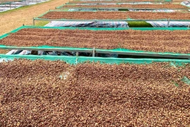 Giá cà phê Robusta xuống đáy 6 tháng, Arabica thấp nhất trong 15 tháng qua 