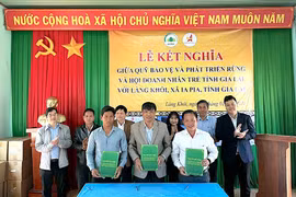Quỹ Bảo vệ và phát triển rừng, Hội Doanh nhân trẻ tỉnh Gia Lai kết nghĩa với làng Khôi