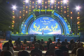 Gia Lai: Khai mạc Lễ hội Mai vàng An Nhơn Đông năm 2026