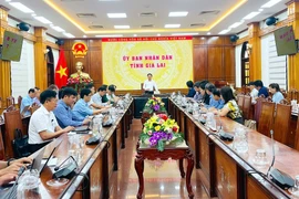 Chủ tịch UBND tỉnh Phạm Anh Tuấn nghe báo cáo chuẩn bị Tuần lễ khai mạc Năm Du lịch quốc gia - Gia Lai 2026