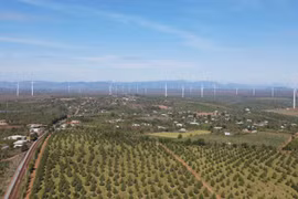 Gia Lai: Hoàn tất vận hành thương mại cụm điện gió Ia Pech và Ia Pech 2, công suất 99 MW