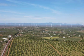 Gia Lai: Hoàn tất vận hành thương mại cụm điện gió Ia Pech và Ia Pech 2, công suất 99 MW