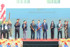 Gia Lai: Dự án Điện gió Ia Pech và Ia Pech 2 chính thức vận hành thương mại toàn phần