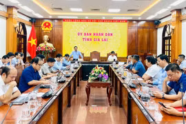 UBND tỉnh Gia Lai làm việc với chủ đầu tư các khu, cụm công nghiệp về thu hút nhà đầu tư thứ cấp