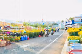 Phường Pleiku triển khai Chợ hoa Tết Nguyên đán Bính Ngọ 2026