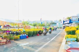 Phường Pleiku triển khai Chợ hoa Tết Nguyên đán Bính Ngọ 2026