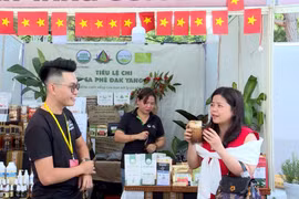 Ra mắt “Không gian Phiên cuối tuần Cà phê & Văn hóa Gia Lai”