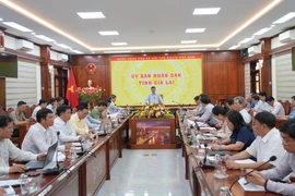 Quyết liệt triển khai công tác giải phóng mặt bằng và tái định cư dự án cao tốc Quy Nhơn - Pleiku