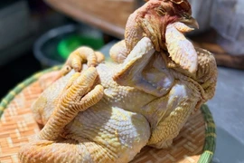 Những bộ phận nào của gà không nên ăn thường xuyên?