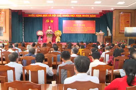 Quy Nhơn tổng kết cuộc bầu cử ĐBQH khóa XVI và đại biểu HĐND các cấp nhiệm kỳ 2026-2031 