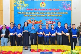 Phó Chủ tịch Tổng LĐLĐ Việt Nam Huỳnh Thanh Xuân trao 100 suất quà Tết cho đoàn viên, người lao động ở Gia Lai