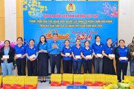 Phó Chủ tịch Tổng LĐLĐ Việt Nam Huỳnh Thanh Xuân trao 100 suất quà Tết cho đoàn viên, người lao động ở Gia Lai