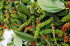 Giá cà phê và hồ tiêu cùng giảm mạnh trong ngày 5-3