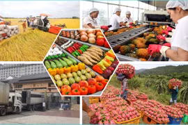 Xuất khẩu nông - lâm - thủy sản 2 tháng đầu năm tăng 17,1%