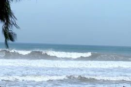 Gia Lai chủ động ứng phó với gió mạnh trên biển