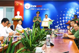 Trao bằng khen cho Công ty Điện lực Gia Lai trong phong trào "Toàn dân bảo vệ an ninh Tổ quốc"