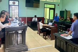 Gia Lai: Lãnh 14 năm tù vì đánh chết con rể