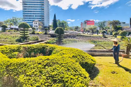 Làm đẹp cảnh quan môi trường đón mừng xuân mới