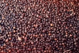 Giá cà phê đảo chiều tăng, hồ tiêu giảm đến 2.000 đồng/kg