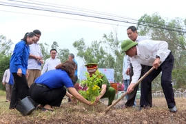 Phát động Tết trồng cây và phong trào “Đường tàu - Đường hoa” tại xã Bình Dương 