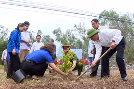 Phát động Tết trồng cây và phong trào “Đường tàu - Đường hoa” tại xã Bình Dương 