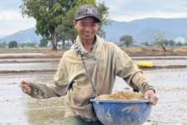 Nhịp sống mới trên hạ lưu sông Ayun