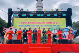 Khai mạc Hội chợ nông sản, sản phẩm OCOP, sản phẩm đặc trưng tiêu biểu xã Kbang năm 2026