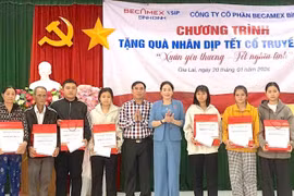 Phó Chủ tịch HĐND tỉnh Huỳnh Thúy Vân thăm, tặng quà các gia đình có hoàn cảnh khó khăn