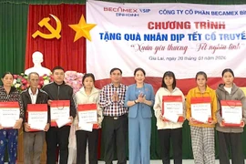 Phó Chủ tịch HĐND tỉnh Huỳnh Thúy Vân thăm, tặng quà các gia đình có hoàn cảnh khó khăn