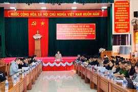 Đồng chí Phạm Thị Tố Hải kiểm tra công tác chuẩn bị bầu cử tại 2 phường An Khê, An Bình và xã Cửu An