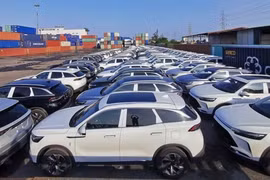 Việt Nam chi 4,74 tỷ USD nhập khẩu ô tô trong năm 2025, tăng hơn 31%