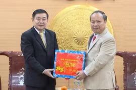 Đoàn đại biểu cấp cao tỉnh Salavan thăm, chúc Tết tỉnh Gia Lai