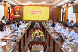 Phó Chủ tịch UBND tỉnh Dương Mah Tiệp tiếp và làm việc với UNICEF