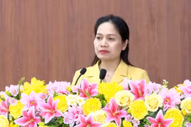 Ứng cử viên ĐBQH khóa XVI tiếp xúc cử tri 5 xã phía Tây Gia Lai