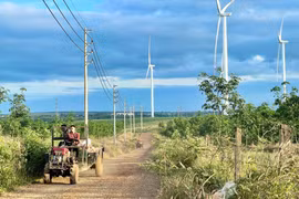 Ngành sản xuất và phân phối điện Gia Lai đạt mức tăng trưởng 15,46% trong quý I/2026