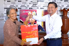 Phó Chủ tịch UBND tỉnh Nguyễn Tự Công Hoàng thăm và chúc Tết người có công tiêu biểu tại phường Quy Nhơn Tây