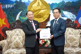 Đoàn đại biểu cấp cao tỉnh Gia Lai thăm, chúc Tết tỉnh Salavan