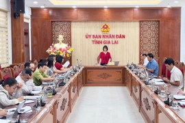 Phó Chủ tịch UBND tỉnh Nguyễn Thị Thanh Lịch họp nghe báo cáo về xây dựng sản phẩm du lịch tại Kon Ka Kinh và Kon Chư Răng