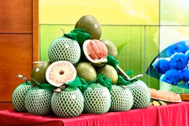 Nhiều quy định mới về an toàn thực phẩm và kiểm dịch động, thực vật ảnh hưởng tới nông sản xuất khẩu 