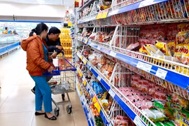 Áp lực từ giá năng lượng, CPI quý I/2026 tăng 3,51%