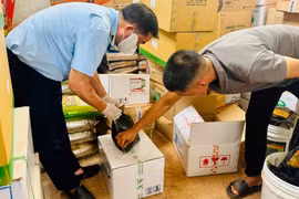 Gia Lai: Kinh doanh phân bón vi phạm về nhãn hàng hóa, 1 cơ sở bị phạt gần 40 triệu đồng
