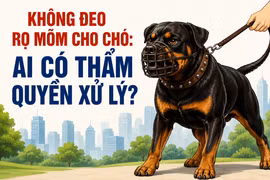 Không đeo rọ mõm cho chó: Ai có thẩm quyền xử lý?