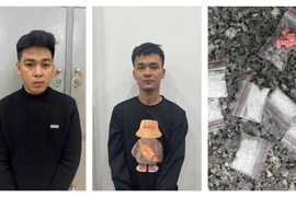 Gia Lai: Dùng hộp điện để giấu ma túy, 4 đối tượng sa lưới