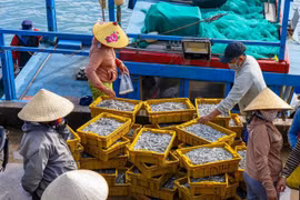 Gia Lai: Nông sản được ưu đãi thuế GTGT, giao dịch từ 5 triệu đồng phải thanh toán không dùng tiền mặt