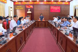 Phó Chủ tịch UBND tỉnh Nguyễn Thị Thanh Lịch kiểm tra tình hình phát triển kinh tế - xã hội tại các xã, phường phía Tây Gia Lai