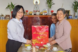 Phó Chủ tịch UBND tỉnh Nguyễn Thị Thanh Lịch thăm, chúc Tết các đơn vị và gia đình người có công