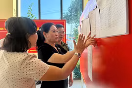 Phó Chủ tịch HĐND tỉnh Huỳnh Thúy Vân giám sát công tác bầu cử tại 3 phường phía Đông Gia Lai