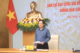 Kiên quyết xử lý dứt điểm các trường hợp vi phạm để gỡ thẻ vàng IUU